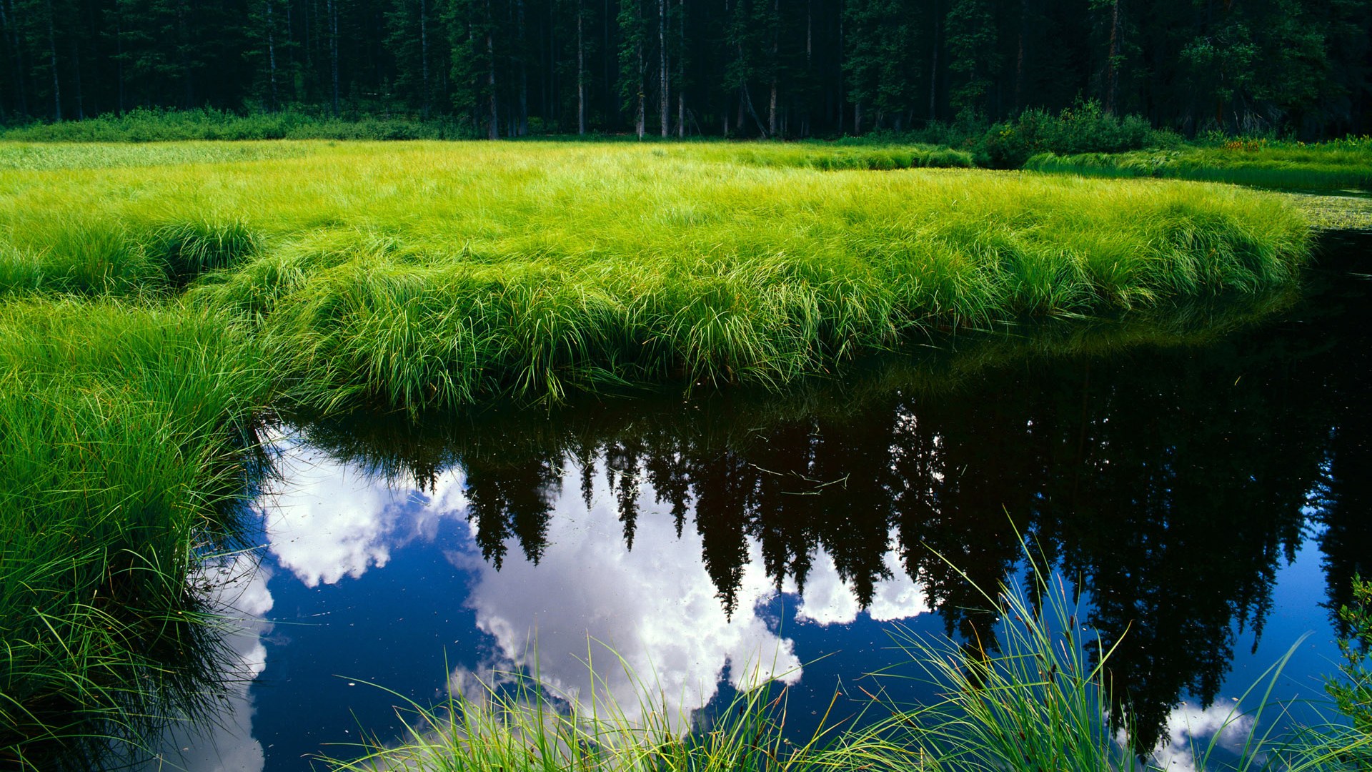 雷火电竞-双星闪耀，森林狼绝杀湖人，布伦森欧冠决赛主宰战局