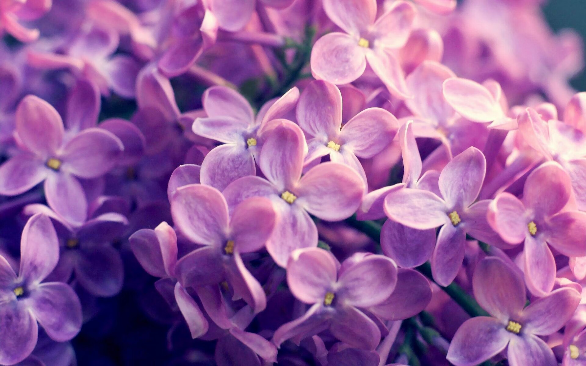 当寻常比赛撞上命运钟摆，恩比德如何用四分钟改写两支球队的赛季叙事