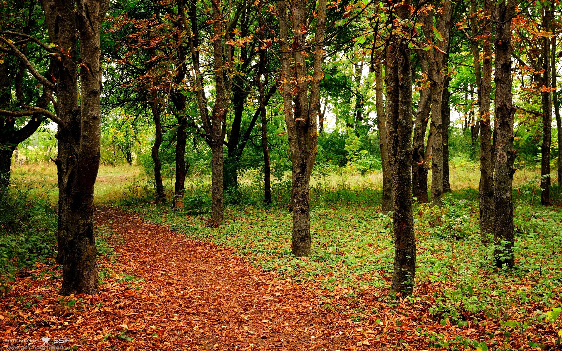 绿茵双面镜,世纪德比的战术喘息,与莱比锡红牛跨联赛的战术碾压