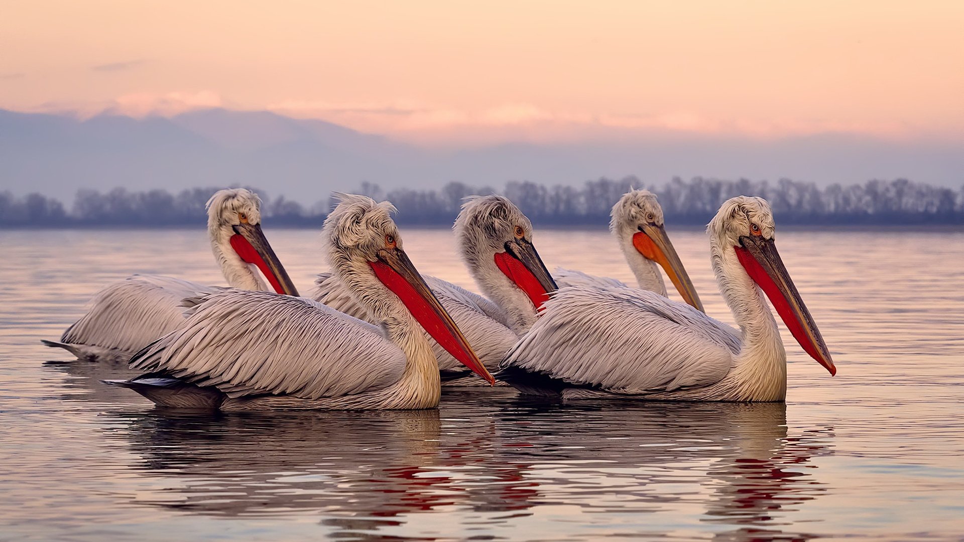 雷火电竞-范戴克一锤定音，法国爆冷马赛，一场战术与意志的逆袭之战