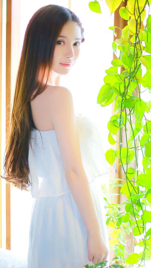 法老之刃斩落三狮，京多安冷箭定江山