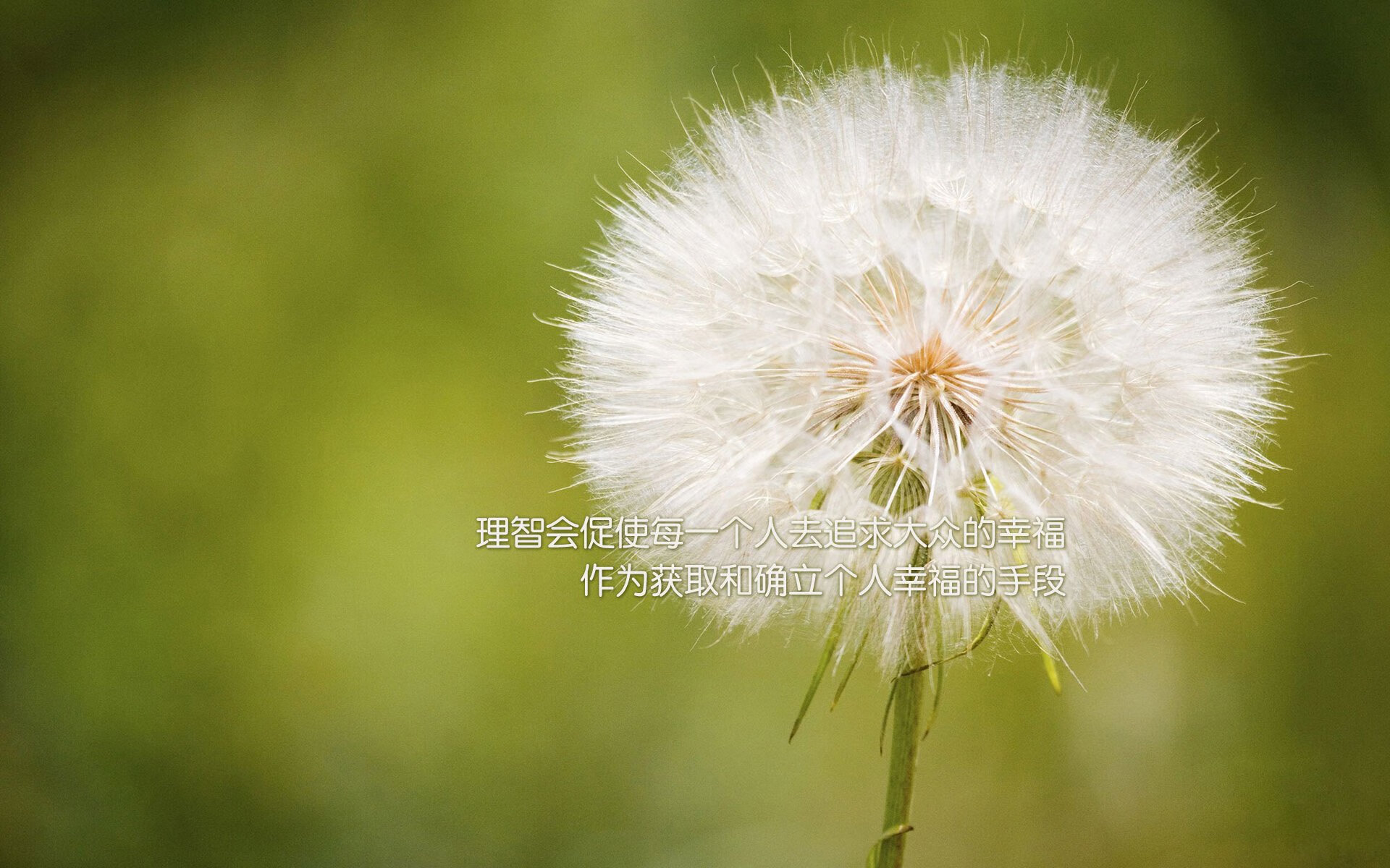 雷火电竞简介-唯一的不可能，当委内瑞拉遇上曼联，伊萨克用压制级发挥定义了一场足球的孤本